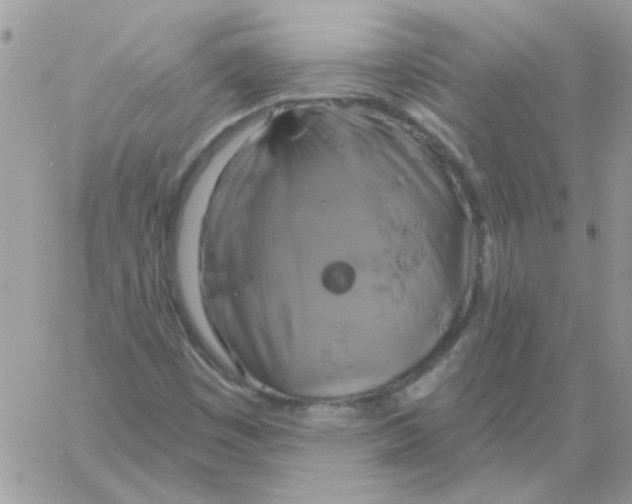 X0000061751449200512302225