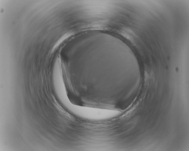 X0000061751450200512302225