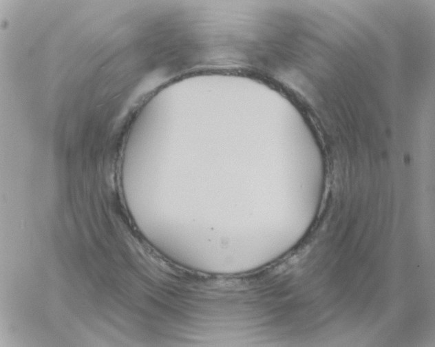 X0000061751451200512302225