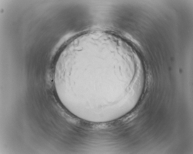 X0000061751454200512302225