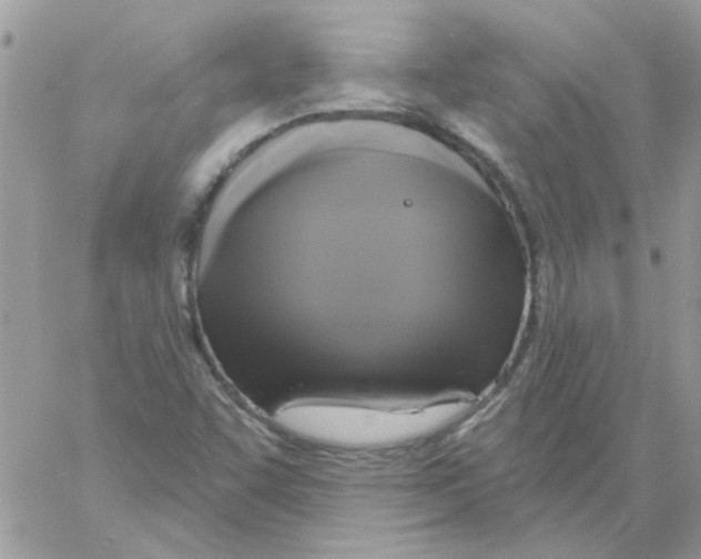 X0000061751455200512302225