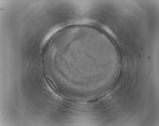 X0000061751456200512302225