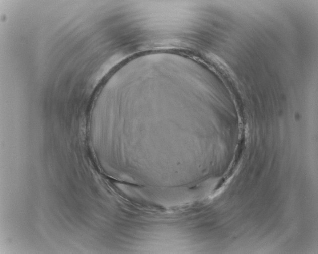 X0000061751457200512302225