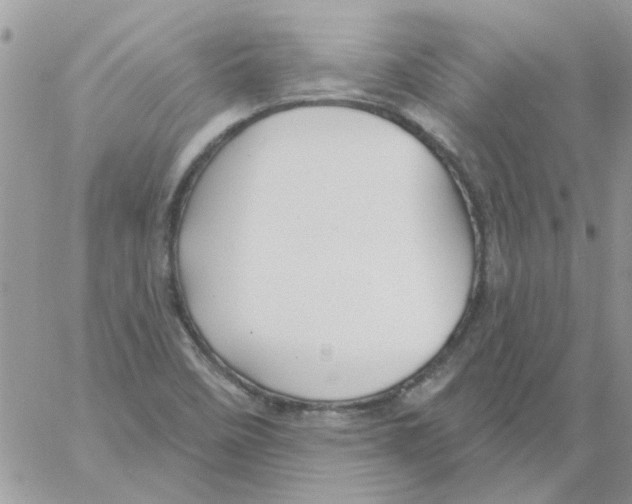 X0000061751458200512302225