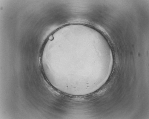 X0000061751462200512302225