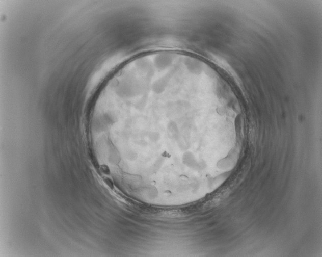 X0000061751464200512302225