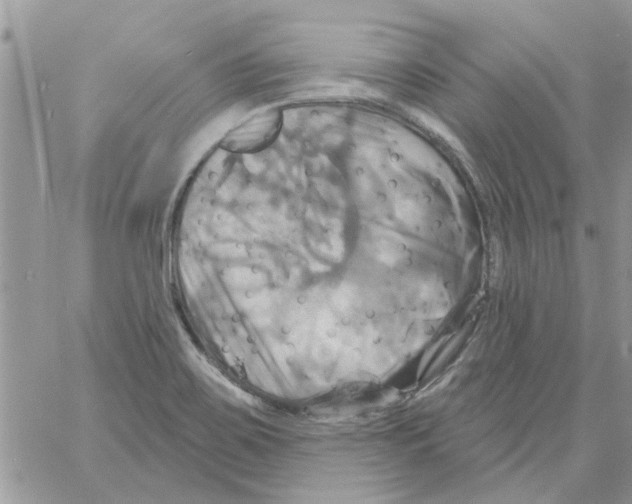 X0000061751467200512302225