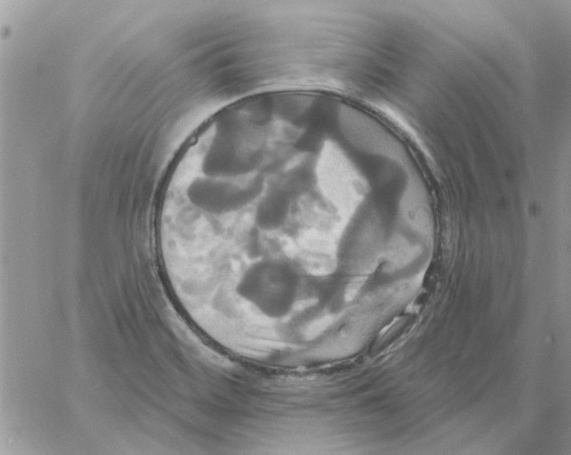 X0000061751468200512302225