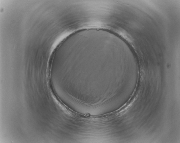 X0000061751469200512302225