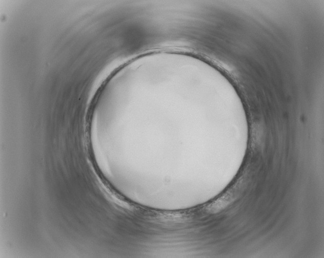 X0000061751470200512302225