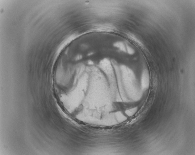 X0000061751471200512302225