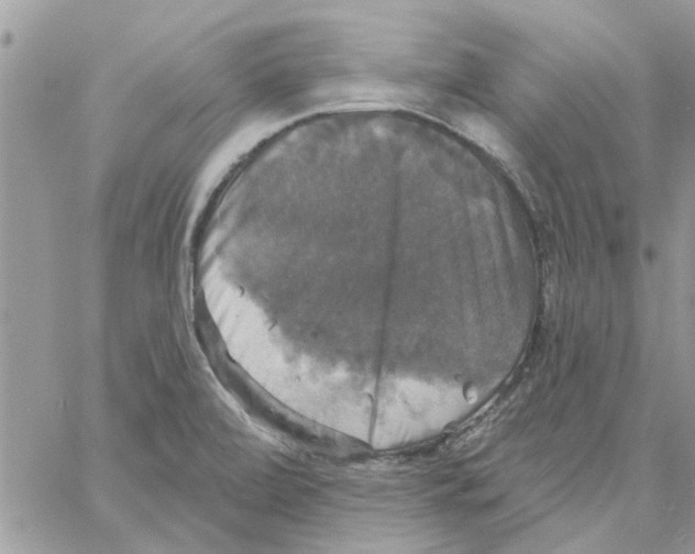 X0000061751472200512302225