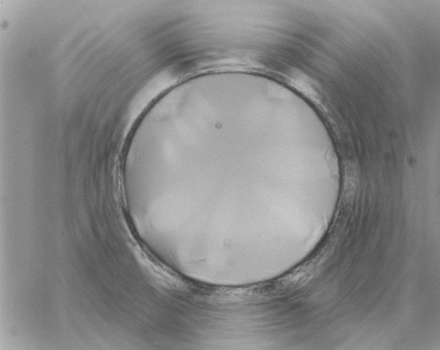 X0000061751474200512302225