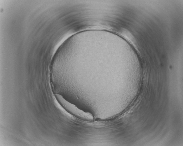 X0000061751476200512302225