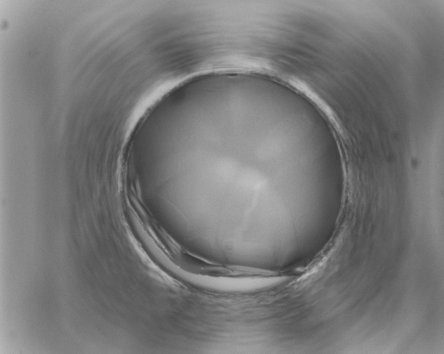 X0000061751477200512302225