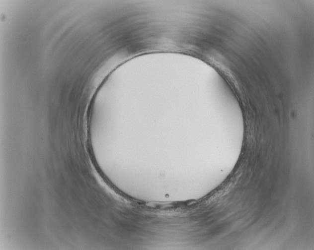 X0000061751479200512302225