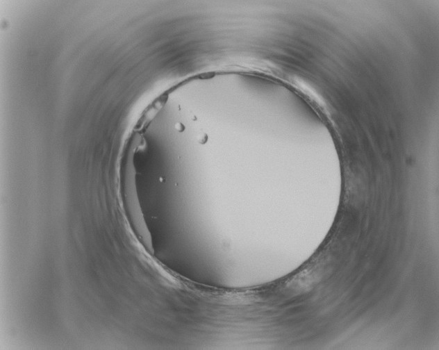 X0000061751480200512302225