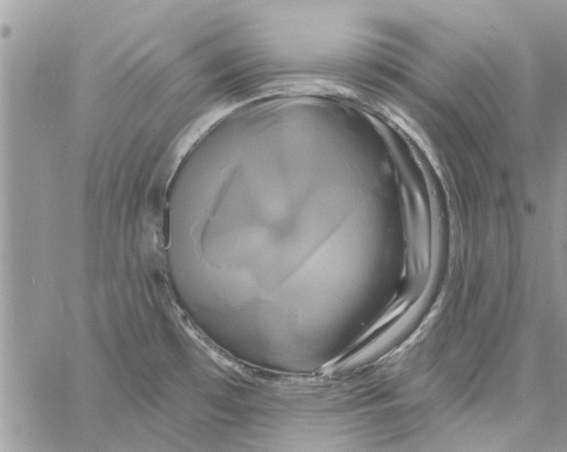 X0000061751481200512302225