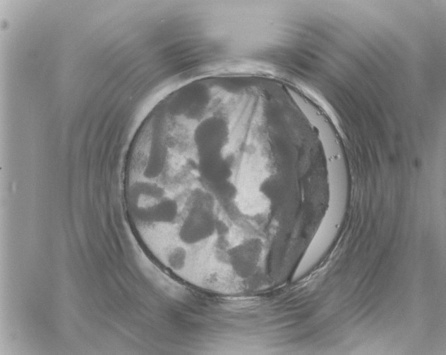 X0000061751483200512302224