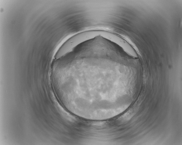 X0000061751484200512302224