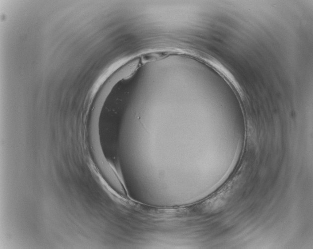 X0000061751485200512302224