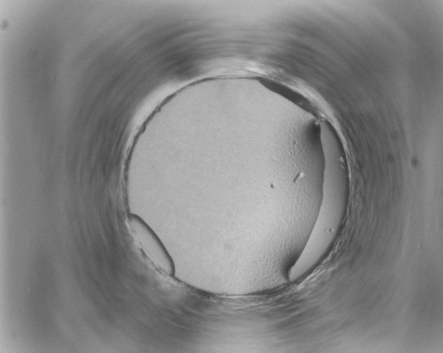 X0000061751488200512302224