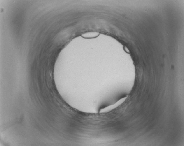 X0000061751489200512302224