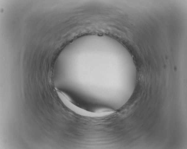 X0000061751490200512302224