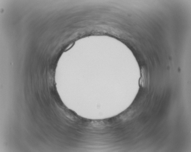 X0000061751491200512302224