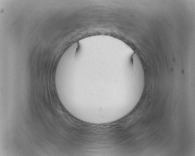 X0000061751492200512302224