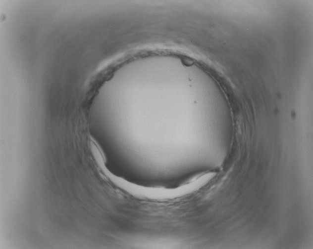 X0000061751494200512302224