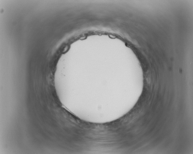 X0000061751495200512302224