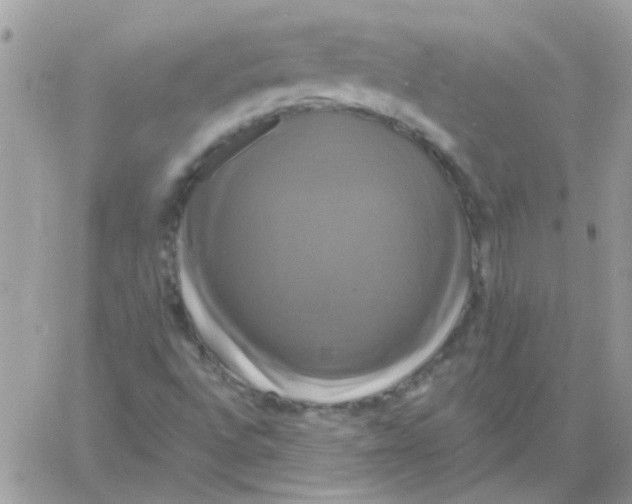 X0000061751496200512302224