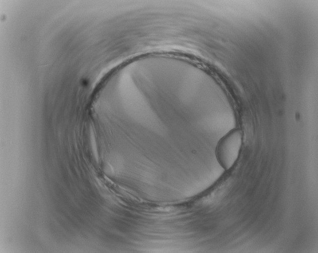 X0000061751497200512302224