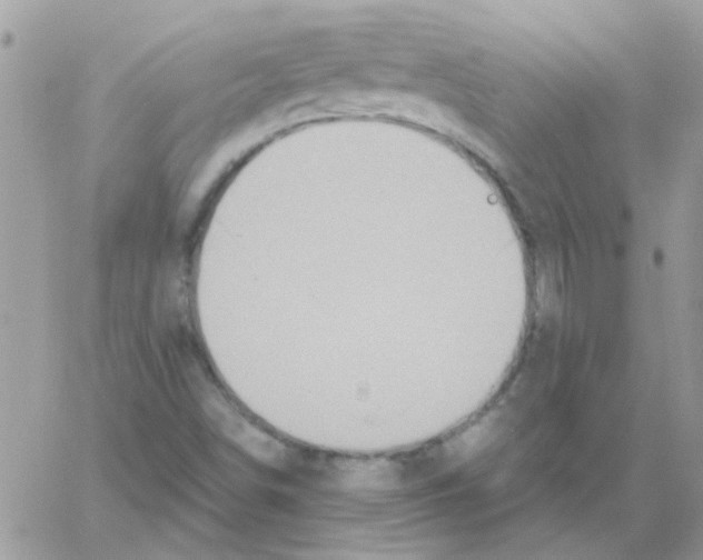 X0000061751498200512302224