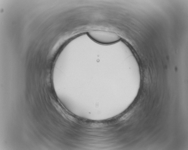 X0000061751499200512302224