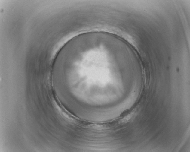 X0000061751500200512302224