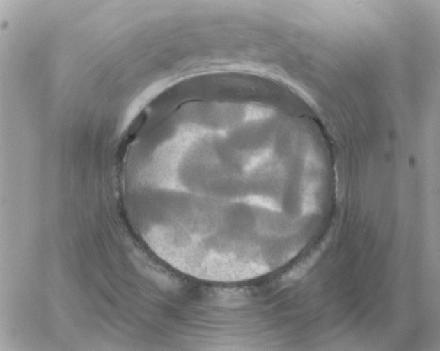 X0000061751501200512302224