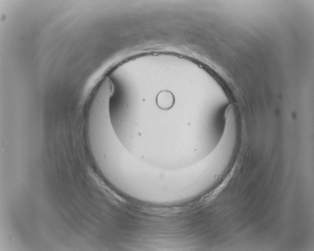 X0000061751502200512302224