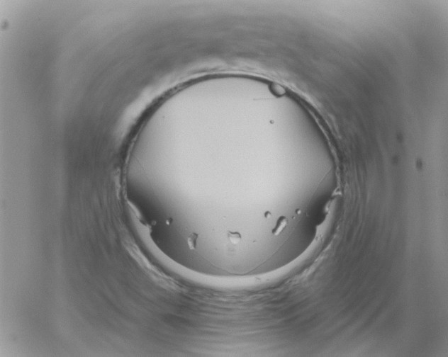 X0000061751503200512302224