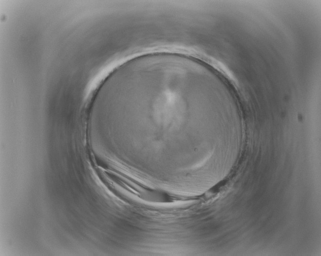 X0000061751504200512302224