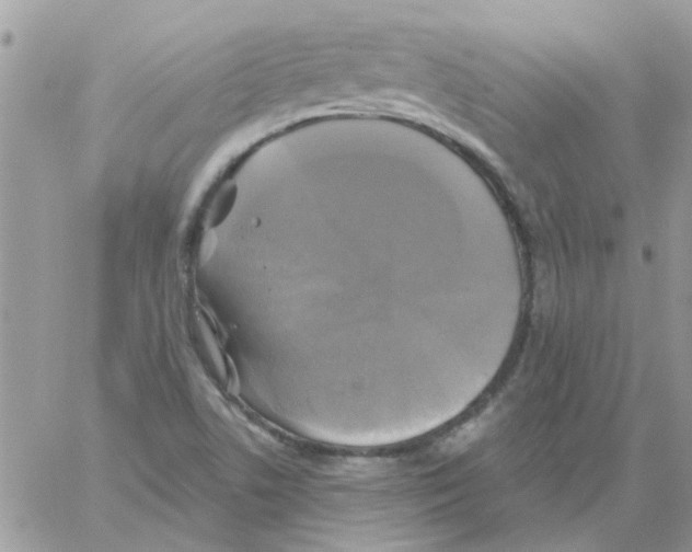 X0000061751506200512302224