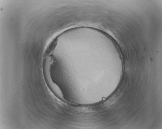 X0000061751508200512302224