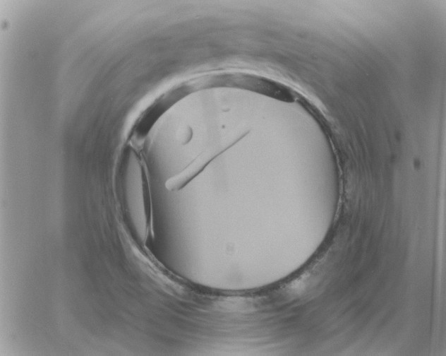 X0000061751510200512302224