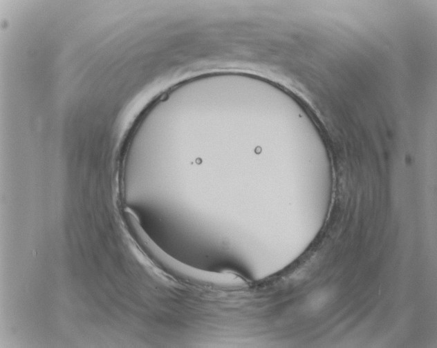 X0000061751511200512302224