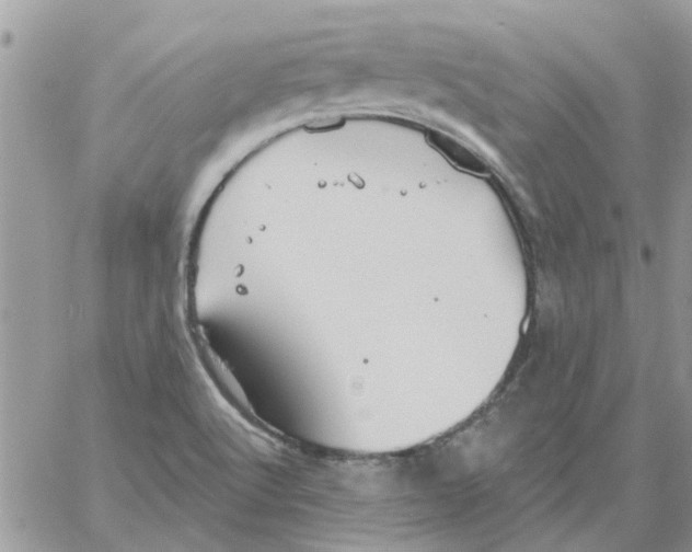 X0000061751512200512302224