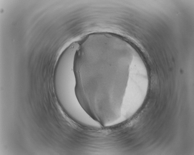 X0000061751513200512302224