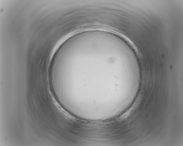 X0000061751514200512302224