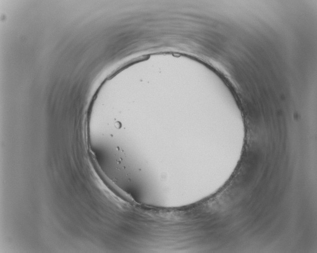 X0000061751516200512302224