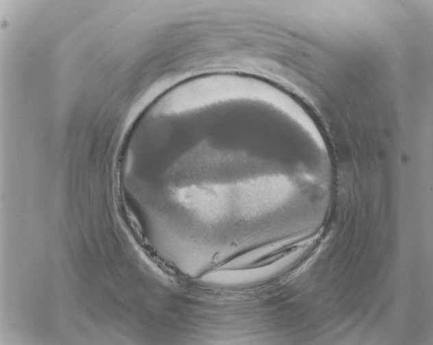 X0000061751517200512302224